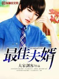 最佳夫婿大宋剑客免费阅读
