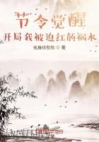 节令觉醒:开局我被迫红颜祸水