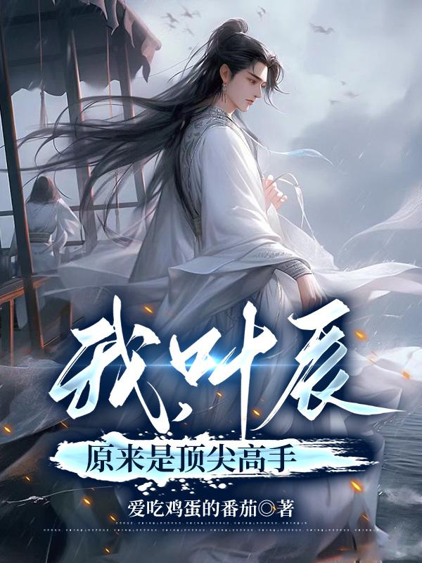 我,叶辰原来是顶尖高手