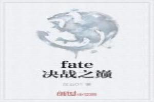 fate决战之巅