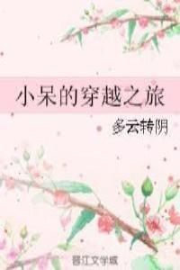 小呆的穿越之旅