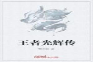 王者光辉传
