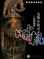 宠物小精灵之时轨