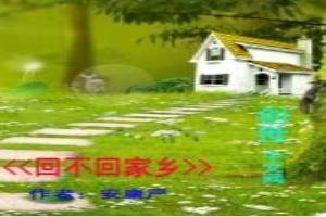 回不回家乡