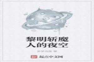 黎明斩魔人的夜空