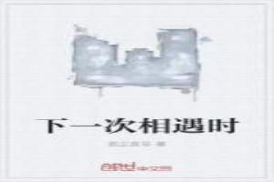下一次相遇时