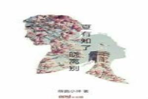 夏有知了晓离别