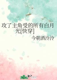 攻了主角受的所有白月光[快穿]