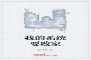 我的系统要败家