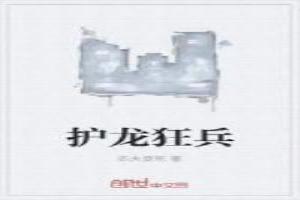 护龙狂兵