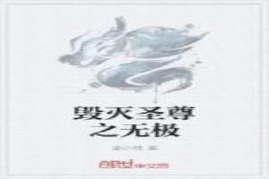 毁灭圣尊之无极