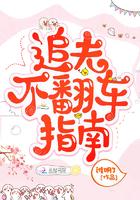 追夫不翻车指南