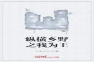 纵横乡野之我为王