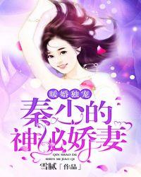 暖婚独宠:秦少的神秘娇妻
