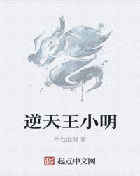 逆天王小明