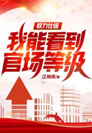 权力仕途,我能看到官场等级!