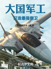 大国军工:打造最强侧卫
