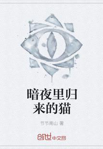 暗夜里归来的猫