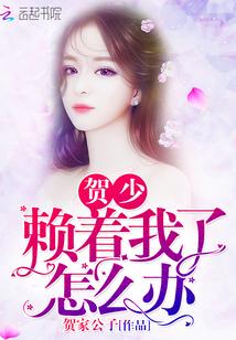 贺少赖着我了怎么办