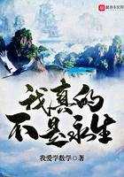 我真的不是永生